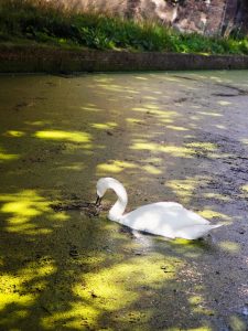 Netherlands 9.2025 4