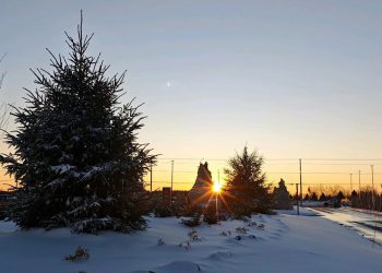 Canada - Spring Canada, January 2026