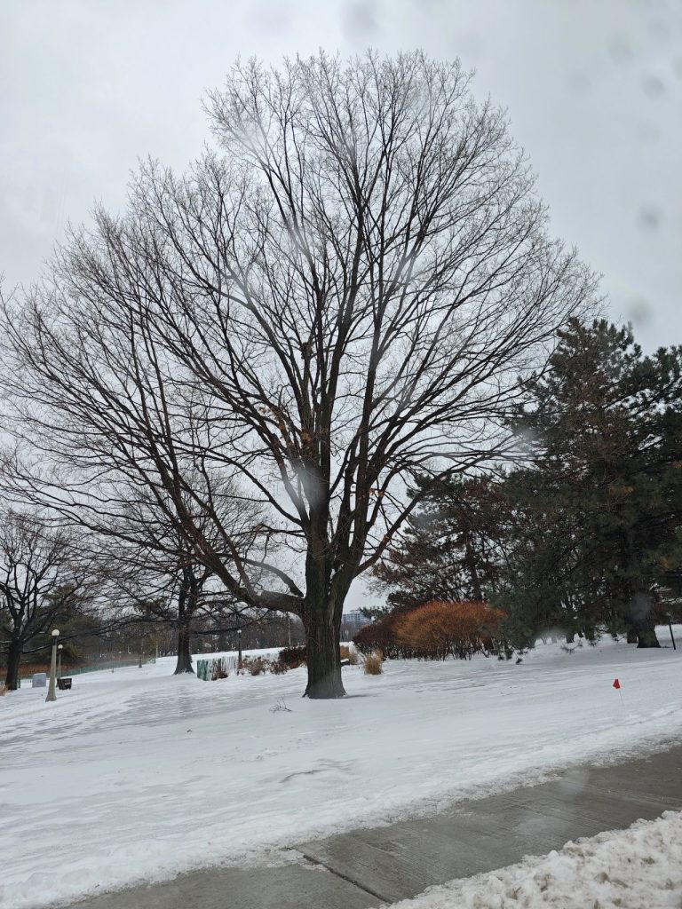 Canada - Spring Canada, January 2026