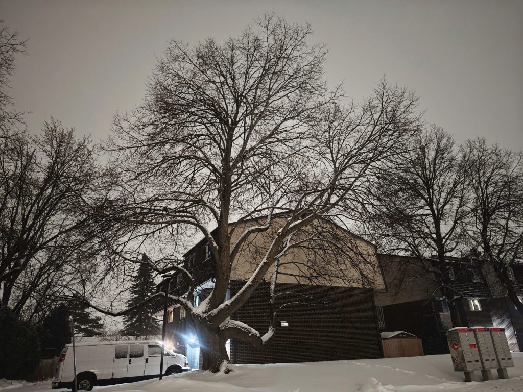 Canada - Spring Canada, January 2026