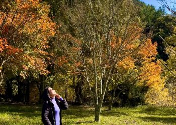 Taiwan – October 2024