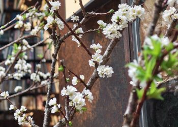 NGHỀ NHÂN SỰ CÓ GÌ HAY?