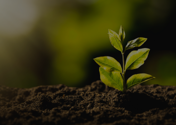 SEACRET LEADERSHIP JOURNEY​ – Week 4