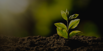 SEACRET LEADERSHIP JOURNEY​ – Week 4